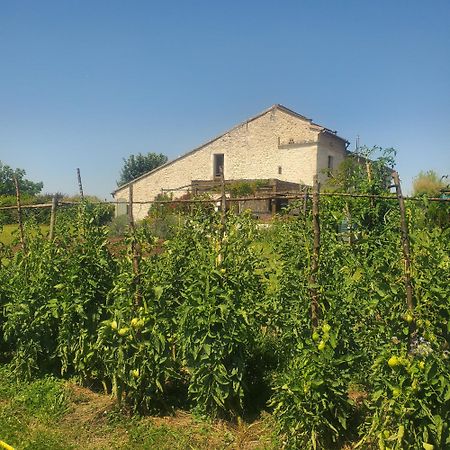 Au Mas De Janita Otel Cahuzac-sur-Vère Dış mekan fotoğraf